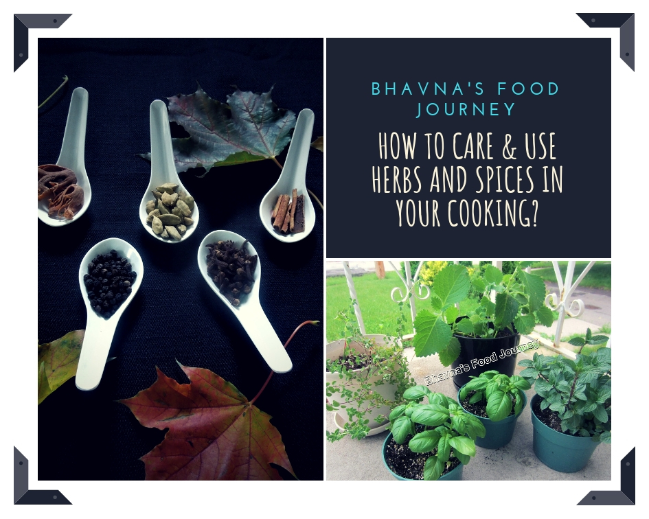 How to care and use herbs and spices in your cooking? – Bhavna's Food ...