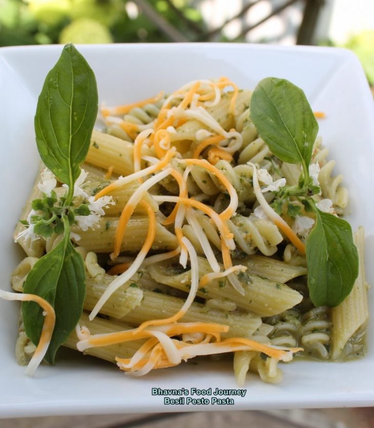 Basil pesto pasta