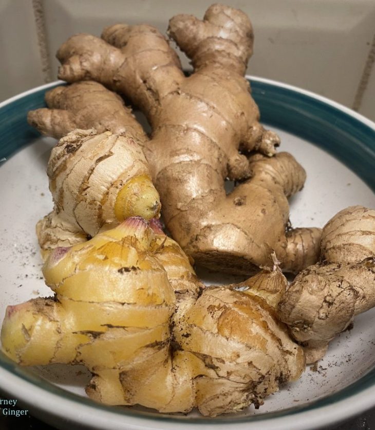 Organic ginger